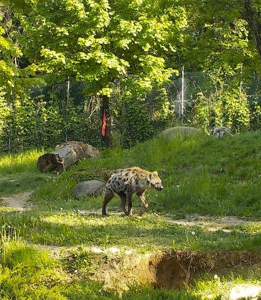 hotel-opera-dintorni-parco-natura-viva